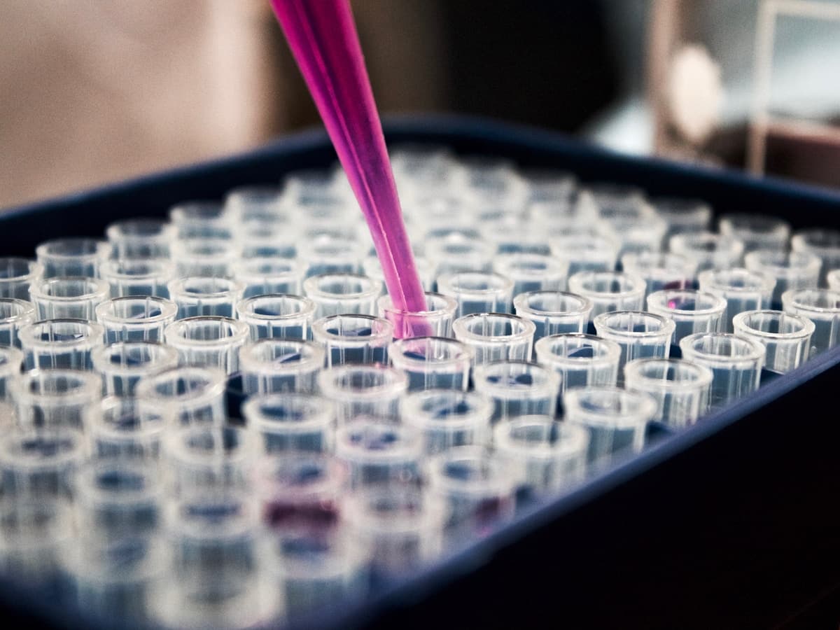 Food scientist conducting quality control testing in a laboratory